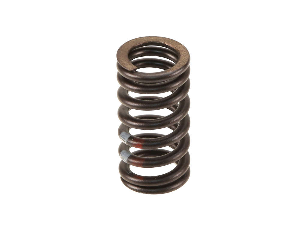 2010-2014 Audi A5 Engine Valve Spring (Original Equipment)