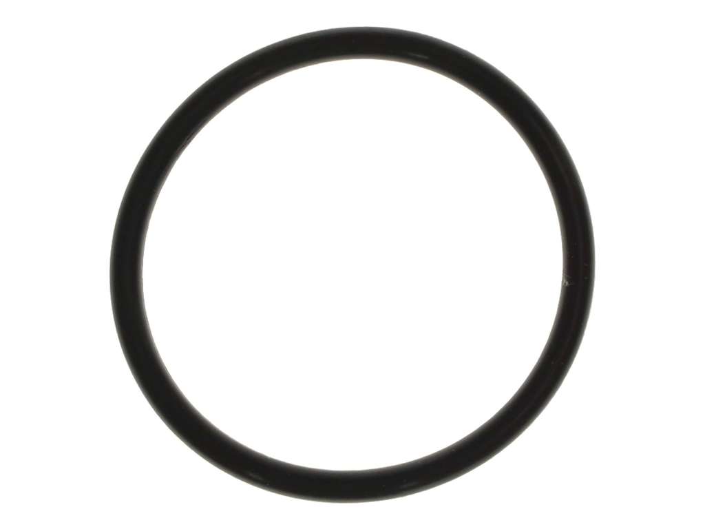 1987-1989 Pontiac Grand Am Engine Coolant Outlet O-Ring (Mahle)