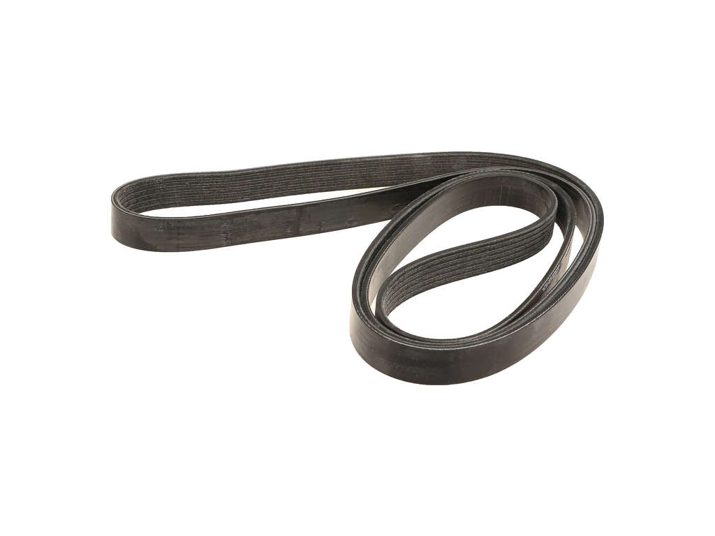 1985-1986 Chevrolet Cavalier Accessory Drive Belt - Alternator or Water Pump, Alternator and Power Steering (Dayco)