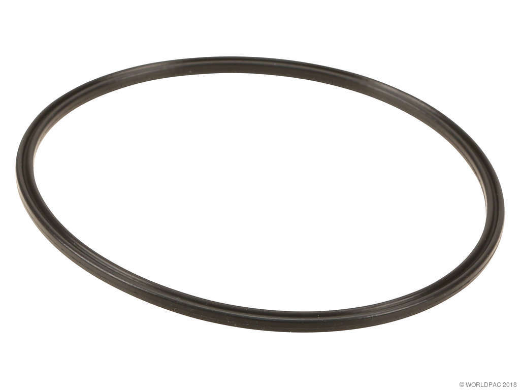 2004-2009 BMW X3 Fuel Injection Pressure Regulator O-Ring (APA/URO Parts)