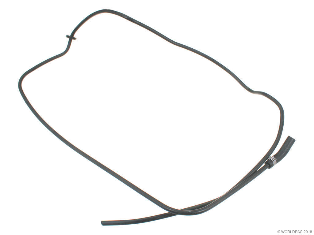 1997-2002 Jaguar XK8 Engine Coolant Reservoir Hose (Genuine)