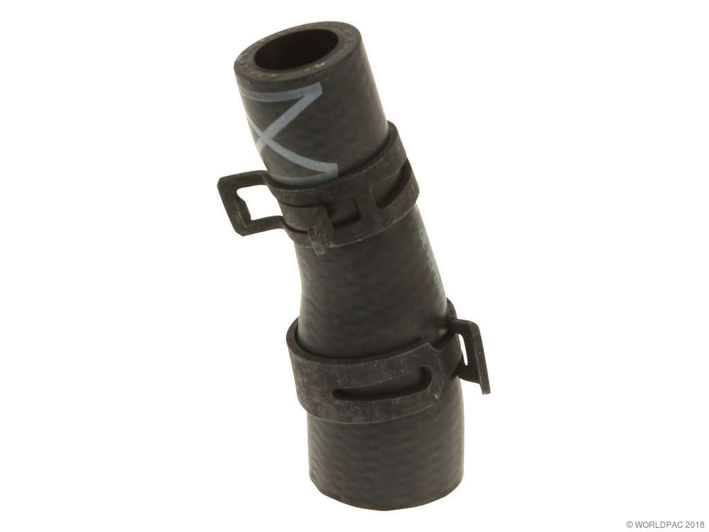 2002-2008 Mini Cooper Engine Coolant Hose (Genuine)