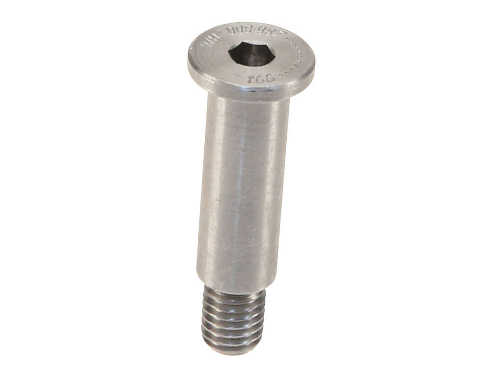 2007-2008 Volkswagen Eos Engine Timing Chain Guide Pivot Pin (Genuine)