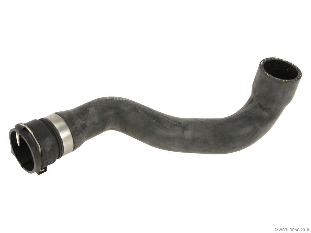 1998-2002 BMW Z3 Radiator Coolant Hose - Lower (Rein)