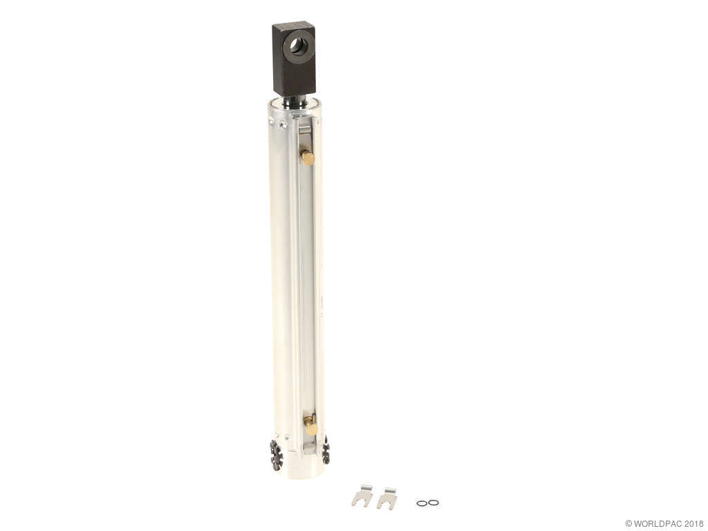 2004-2005 Mercedes-Benz CLK320 Convertible Top Strut (Genuine)