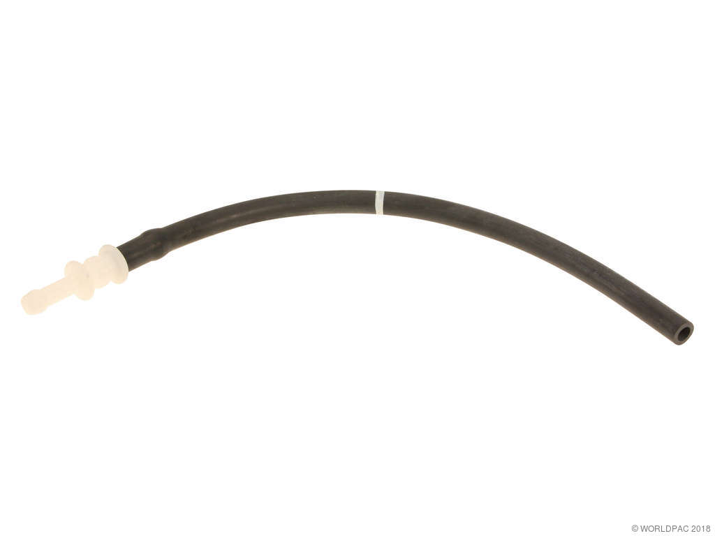 2001-2005 Honda Civic Engine Coolant Reservoir Hose - Upper (Genuine)