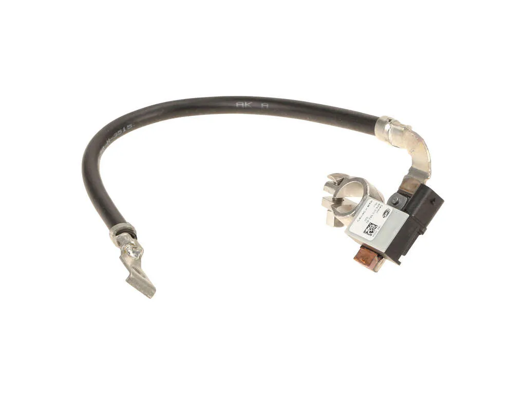 2012-2015 BMW X1 Battery Cable - Negative (Hella)