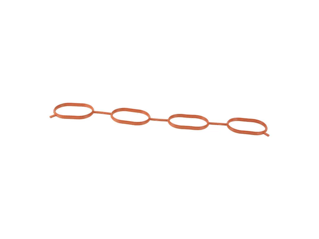 2013-2019 Nissan Sentra Engine Intake Manifold Gasket (Genuine)
