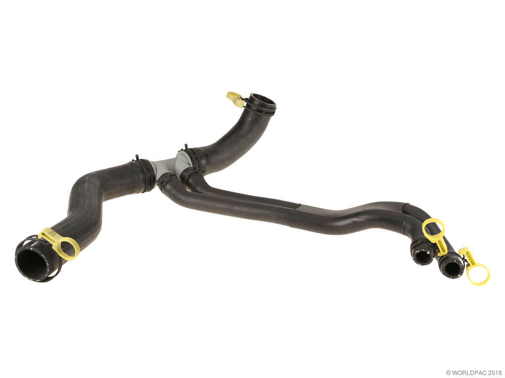 2007-2009 Jaguar XK Radiator Coolant Hose - Lower (Genuine)