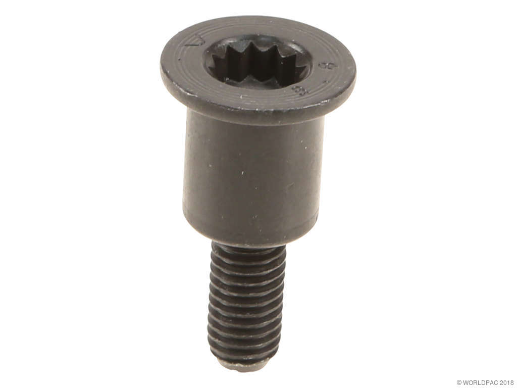 2012-2016 Audi A6 Engine Timing Chain Guide Bolt (Genuine)
