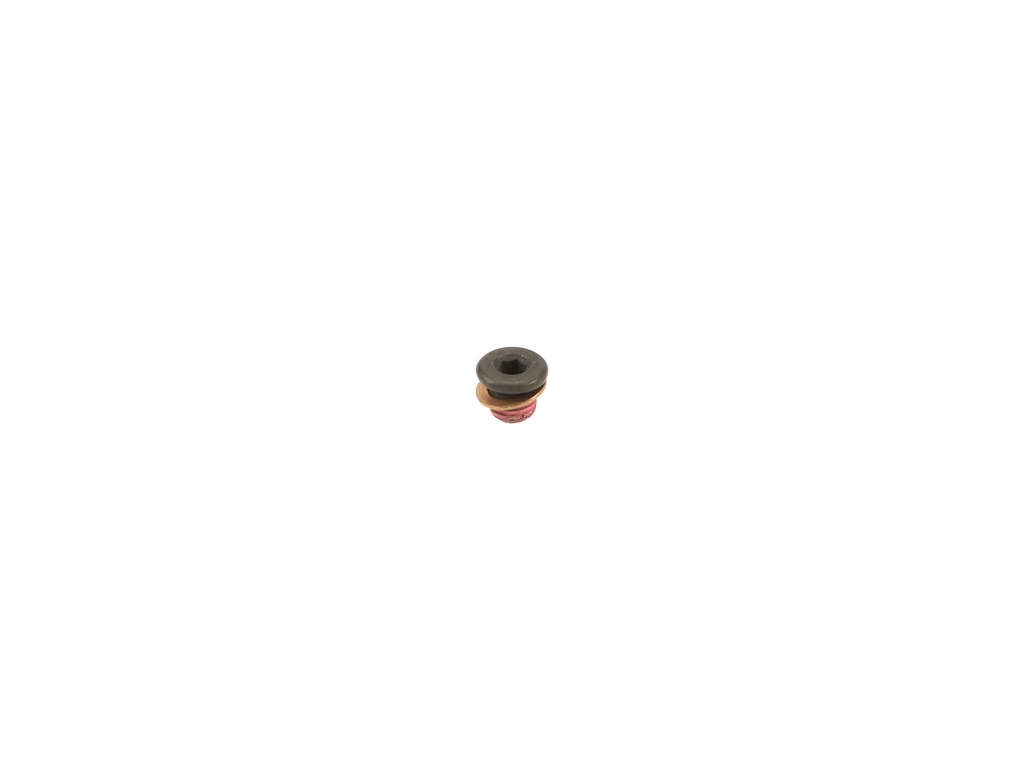 2006-2007 Mercedes-Benz C280 Engine Timing Cover Plug (Vaico)