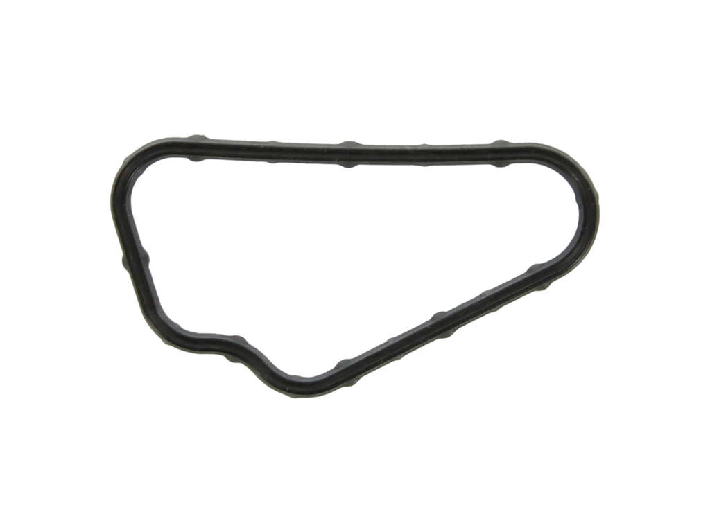 2007-2009 Hyundai Santa Fe Engine Water Pump Gasket (Fel-Pro)