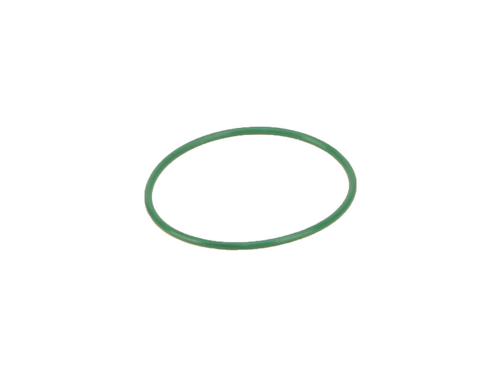 2013-2015 Mini Cooper Fuel Pump O-Ring (Elring)