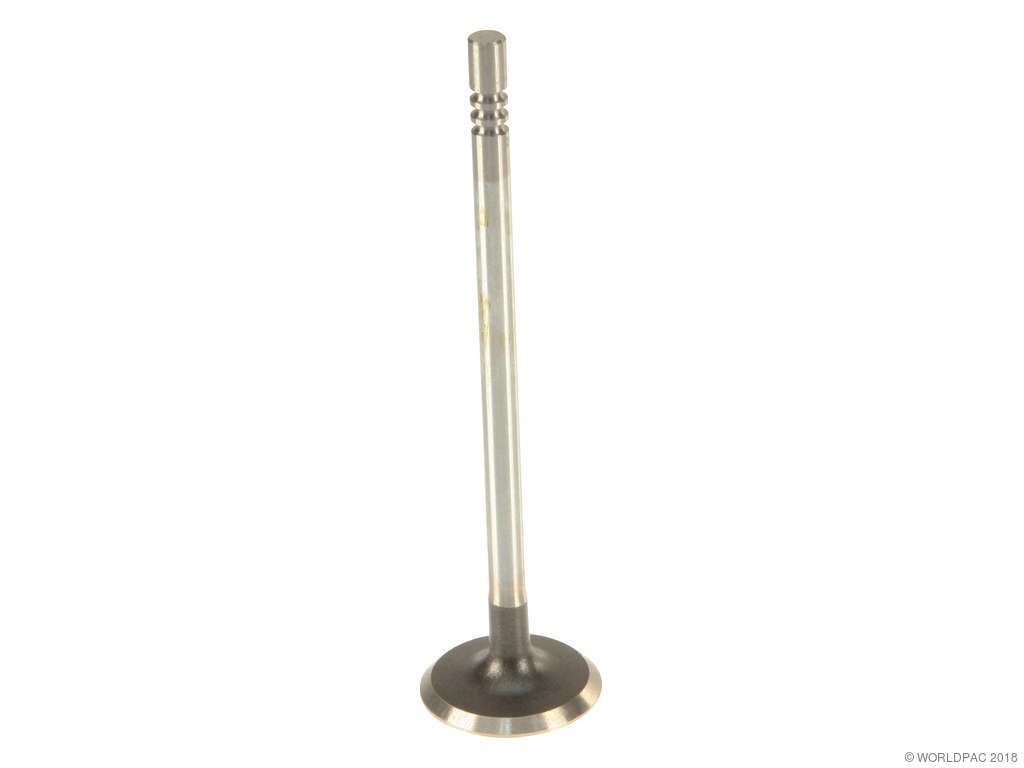 2000 Lincoln LS Engine Exhaust Valve (Mahle)