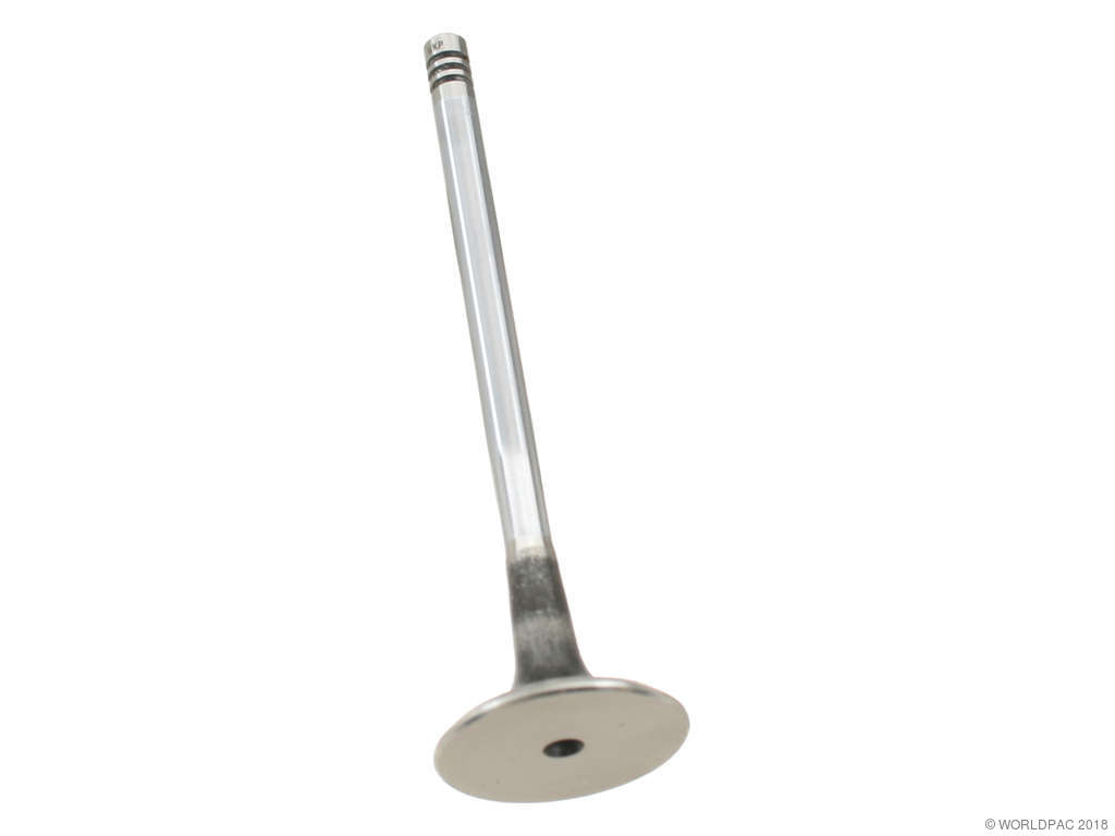 1998-2004 Audi A6 Engine Exhaust Valve (AE)