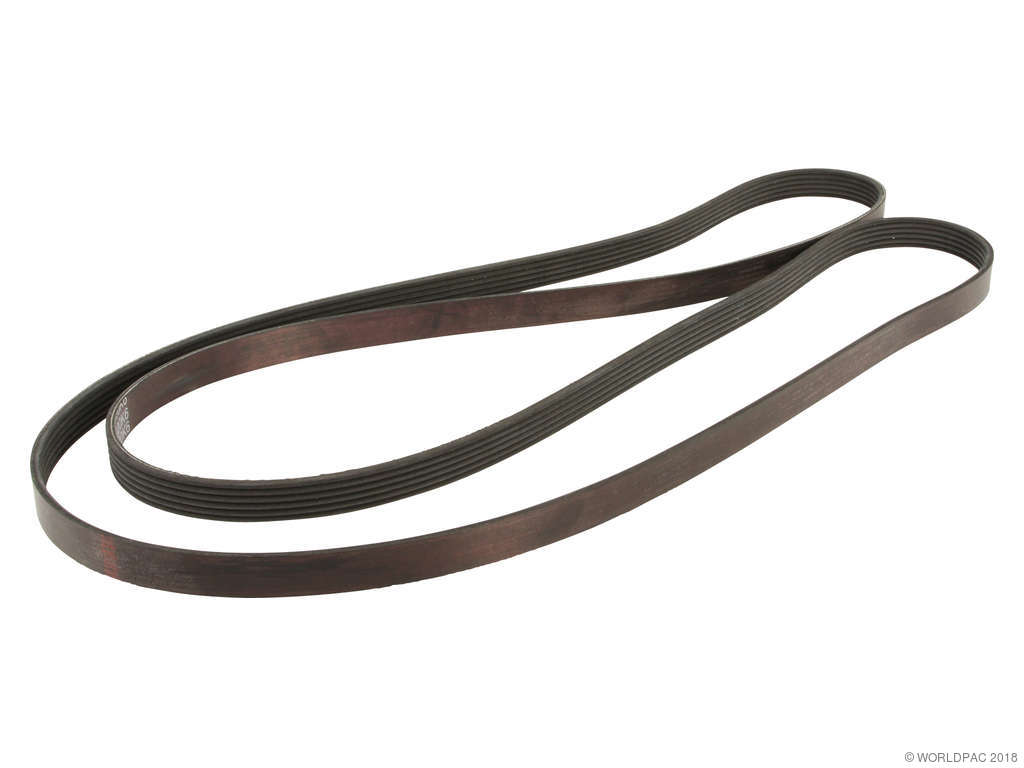 1995 GMC C3500HD Accessory Drive Belt - Primary (Dayco)