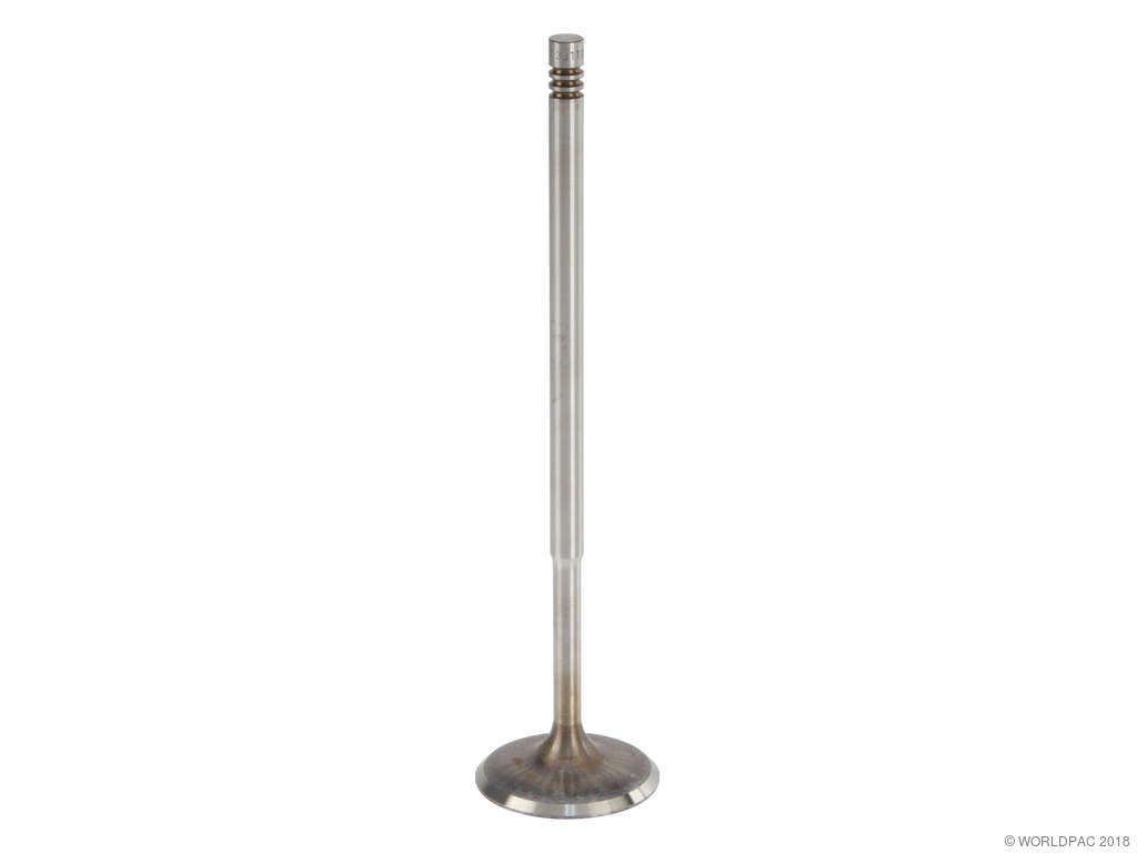2007-2010 Audi Q7 Engine Intake Valve (TRW)