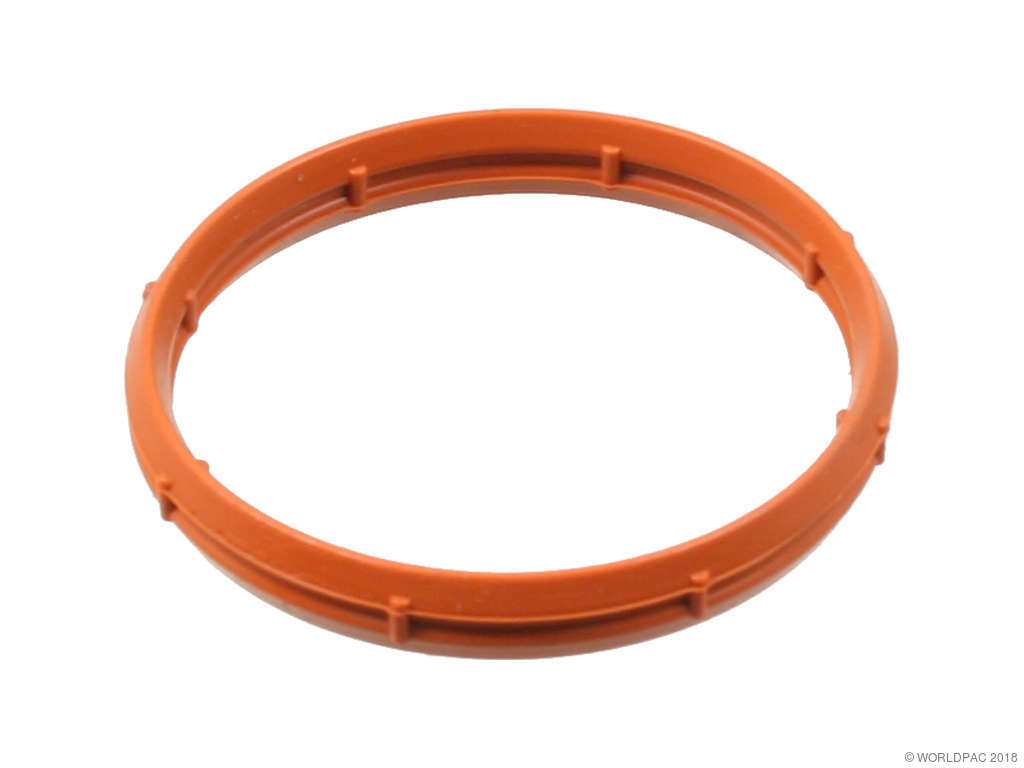 1999-2002 Nissan Quest Fuel Injection Plenum Gasket - Outer (Genuine)