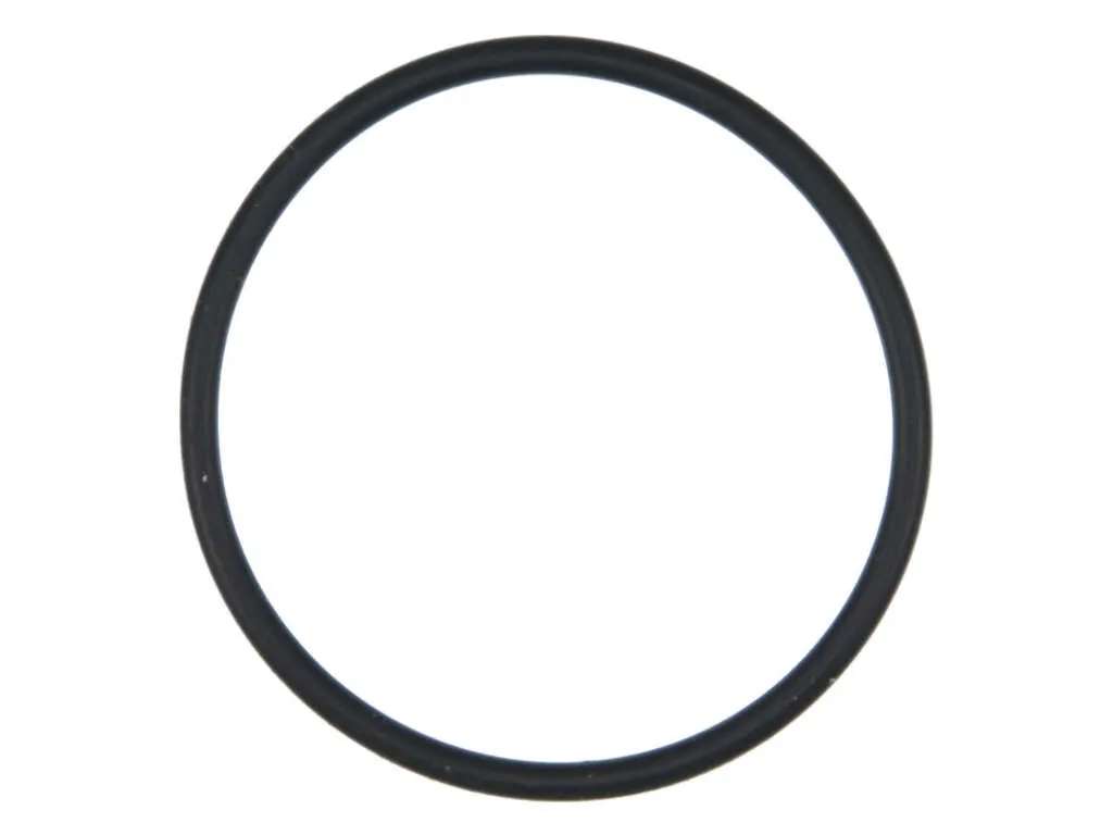 2009-2013 Audi A3 Engine Coolant Thermostat Gasket (Fel-Pro)