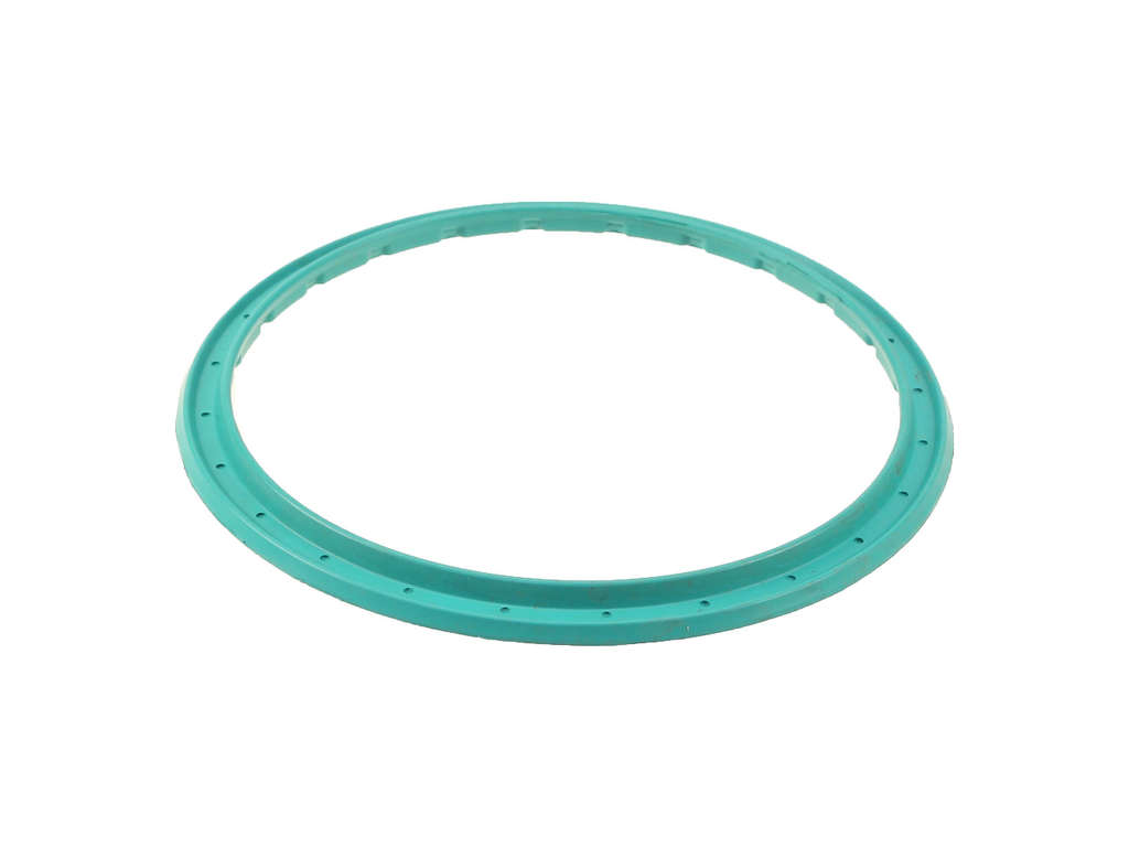 2005-2007 Jaguar S-Type Fuel Pump Tank Seal (Genuine)