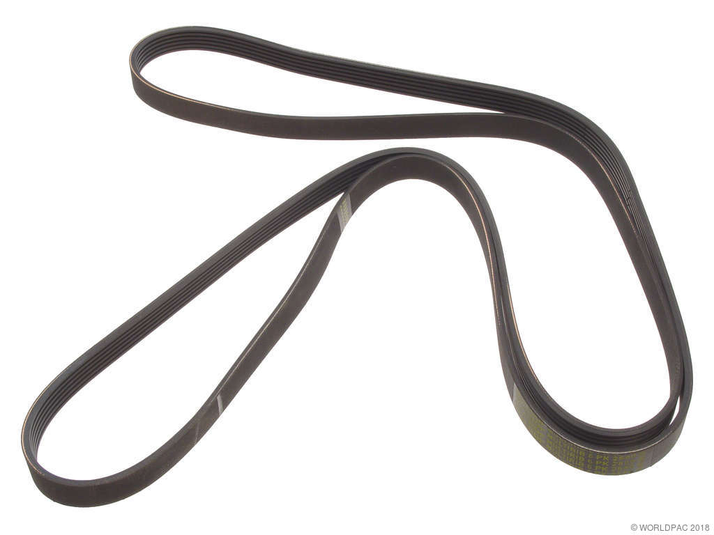 2010-2014 Ford F-150 Accessory Drive Belt -  or Alternator and Water Pump or Water Pump, Alternator, Air Conditioning and Power (Motorcraft)