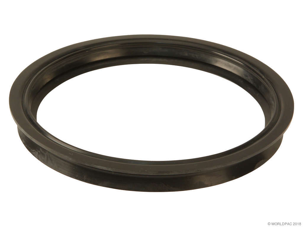 2002-2015 Mini Cooper Fuel Pump Tank Seal (APA/URO Parts)