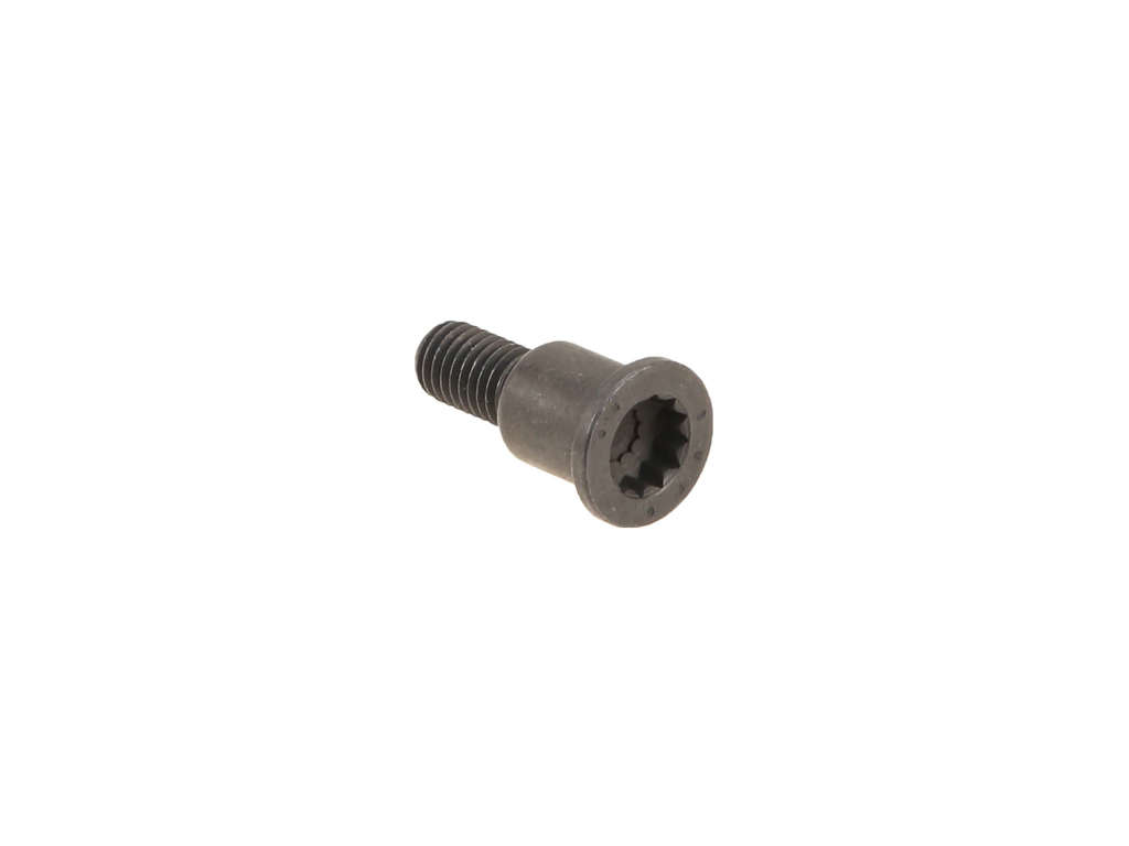 2012-2016 Audi A6 Engine Timing Chain Guide Bolt (Original Equipment)
