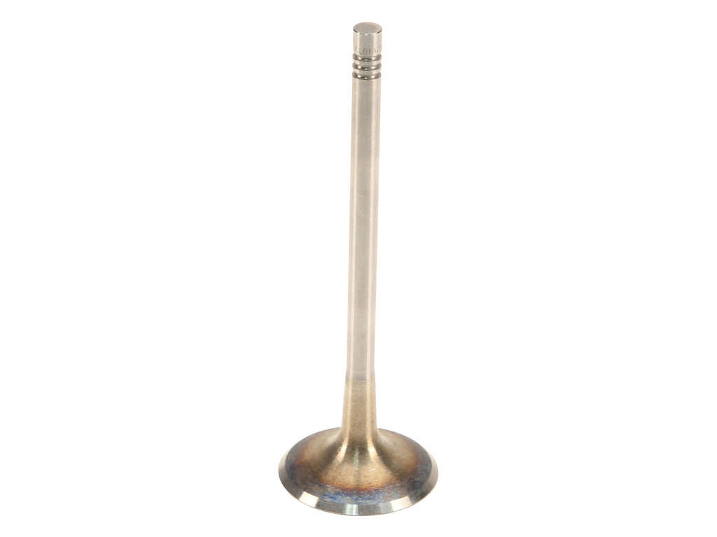 2015-2022 Volkswagen GTI Engine Intake Valve (TRW)