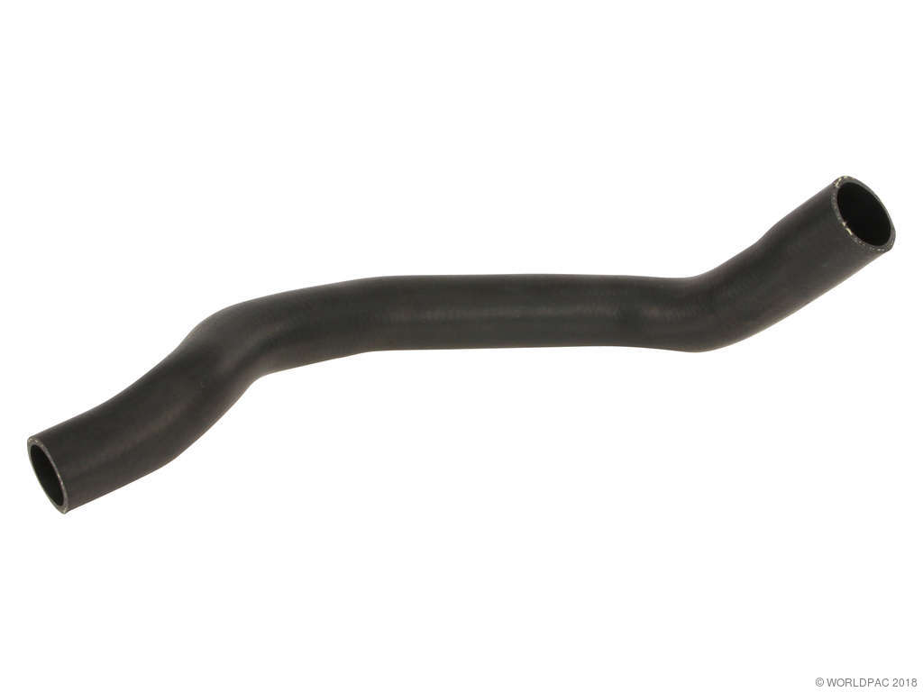 2002-2008 Mini Cooper Radiator Coolant Hose - Lower (Elaplast)