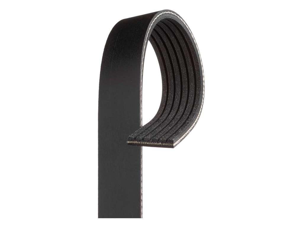 2017-2022 Dodge Durango Accessory Drive Belt -  or Primary (Gates)