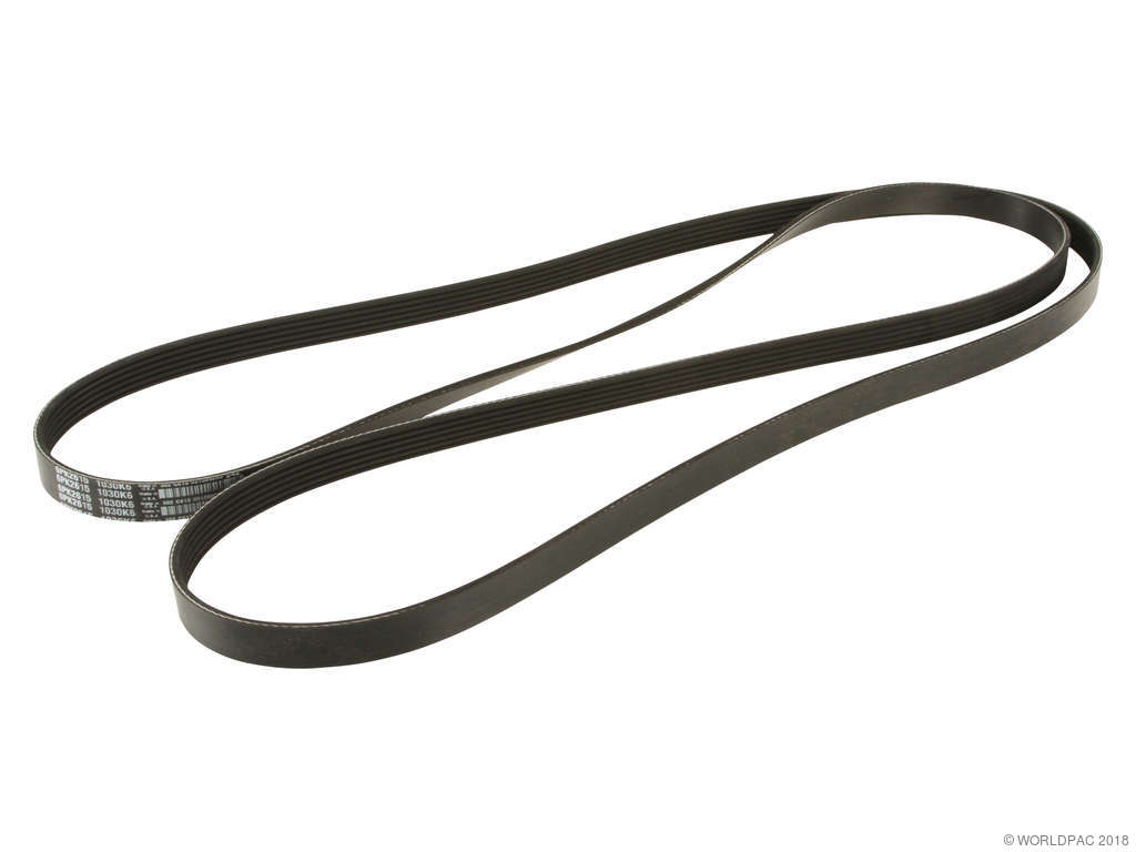 1994-1998 Saab 900 Accessory Drive Belt -  or Primary (Dayco)