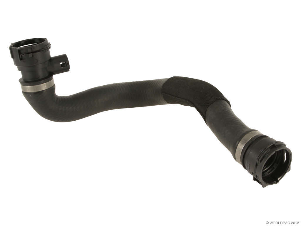 1998-2001 BMW 740i Radiator Coolant Hose - Lower (Rein)