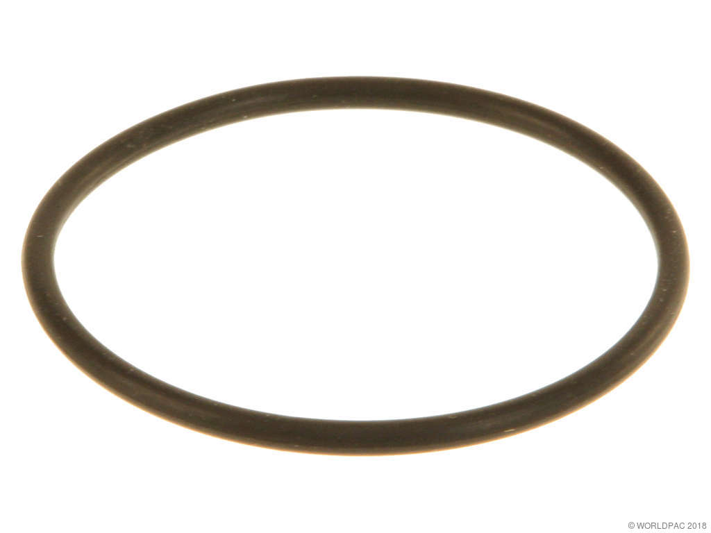 2009-2012 Mini Cooper Fuel Pump Gasket (Elring)