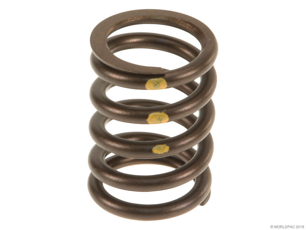 1979-1981 BMW 528i Engine Valve Spring (Genuine)