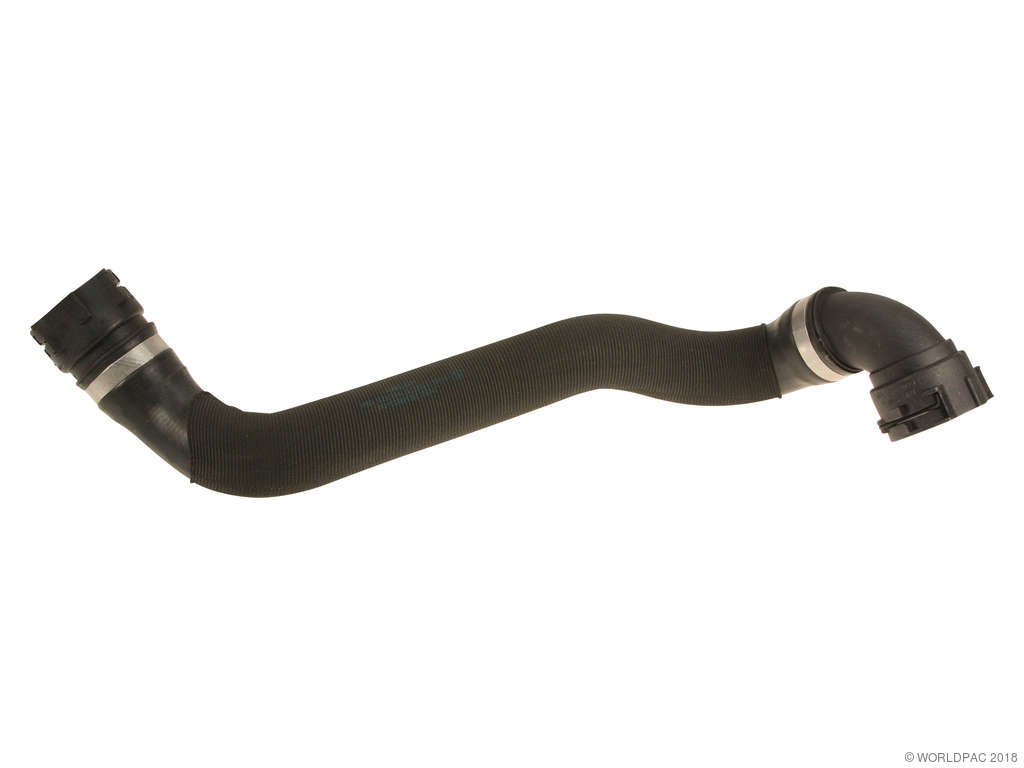 2006-2010 BMW M5 Radiator Coolant Hose - Lower (Genuine)