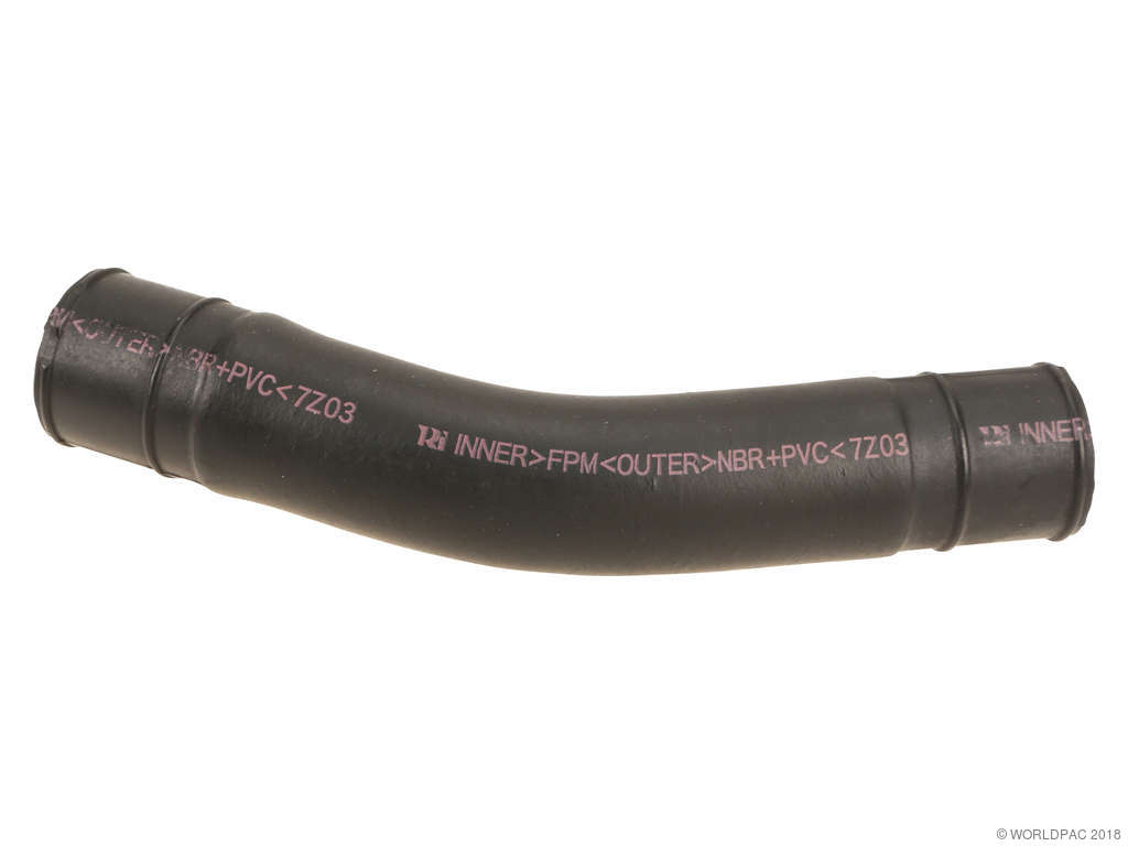 2002-2004 INFINITI I35 Fuel Filler Hose (Original Equipment)