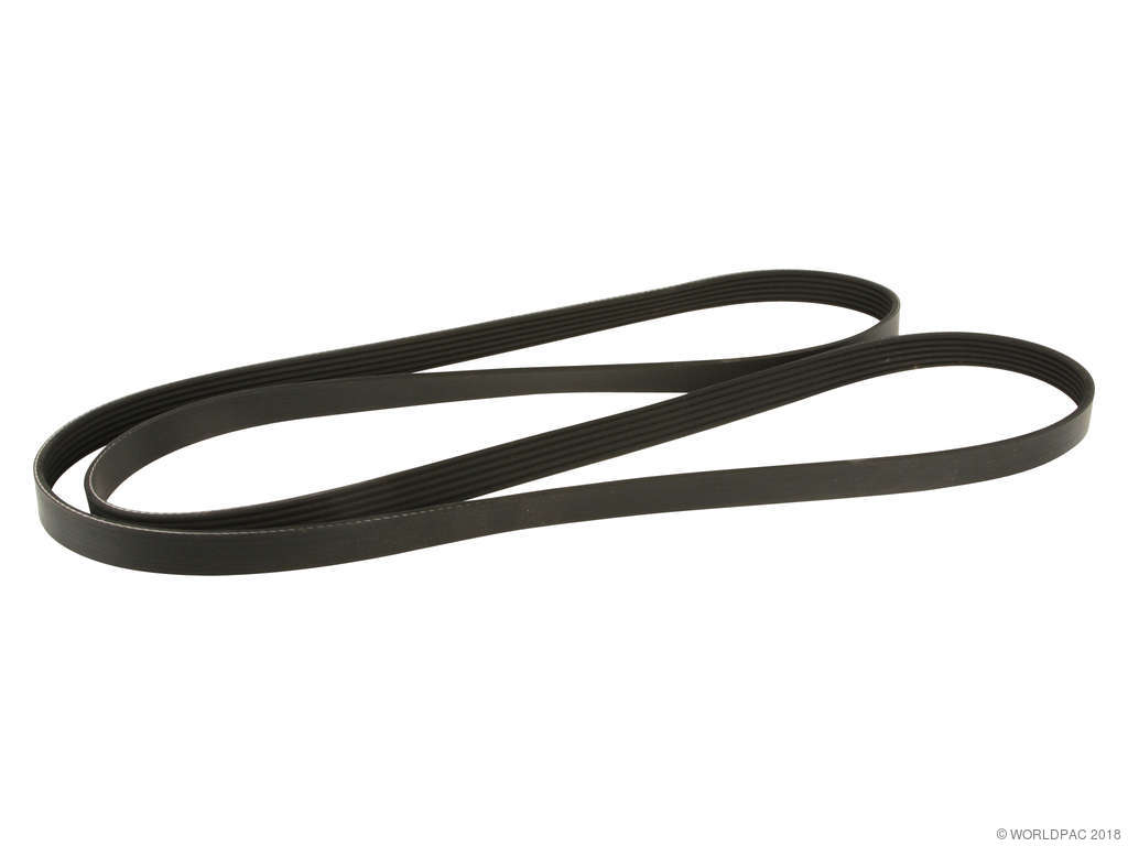 1996-2002 Chevrolet Express 3500 Accessory Drive Belt -  or Alternator and Power Steering (Dayco)