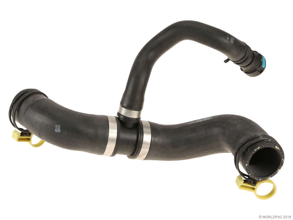 2007-2009 Jaguar XK Radiator Coolant Hose - Upper (Genuine)