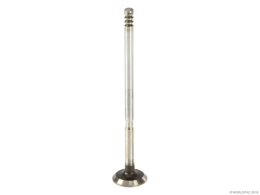 2002-2008 Mini Cooper Engine Exhaust Valve (AE)