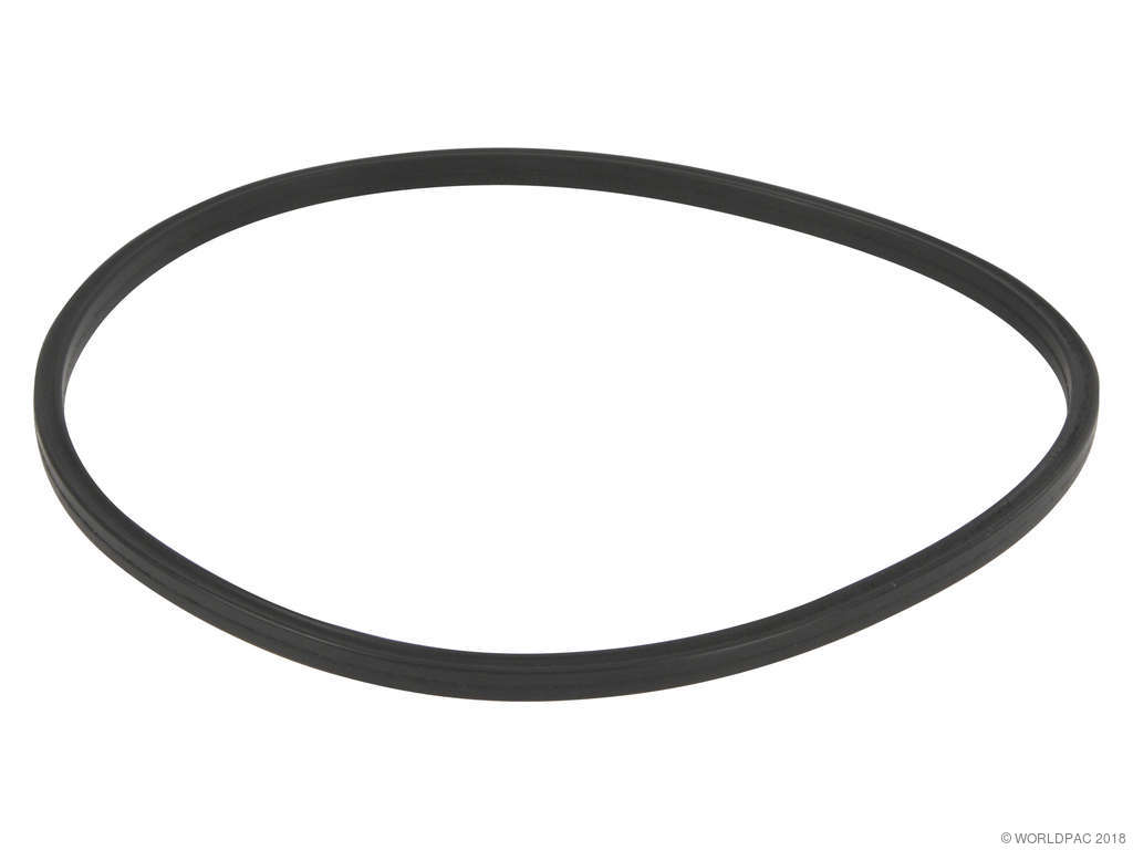 1996-2000 Dodge Caravan Fuel Pump Tank Seal (Mopar)