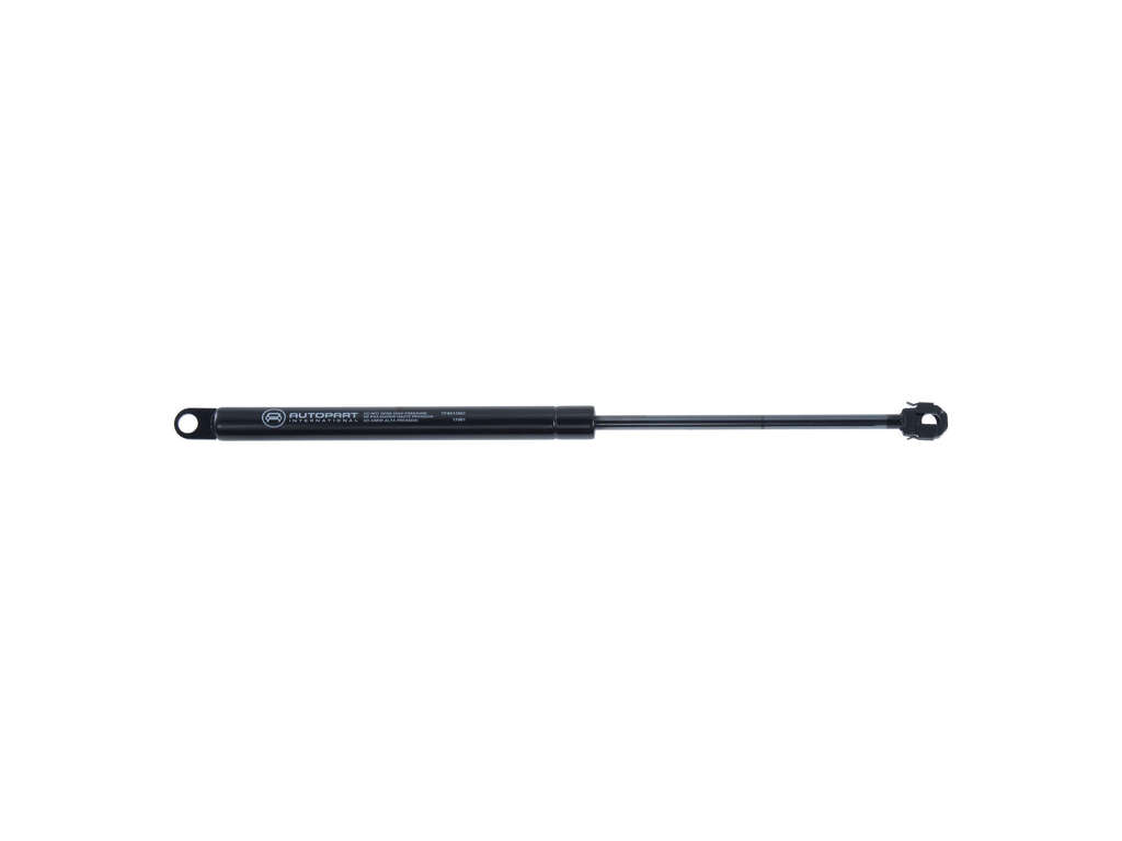 1984-1996 Buick Century Hood Lift Support (Autopart International)