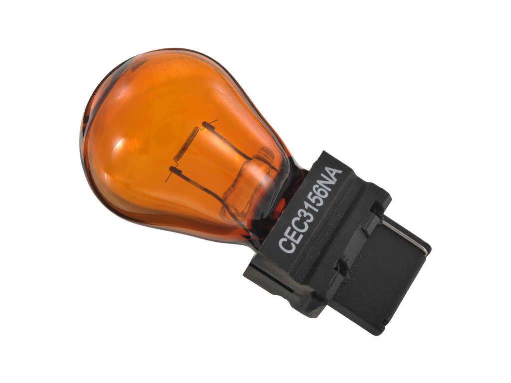 2001-2002 Nissan Quest Multi-Purpose Light Bulb (Autopart International)