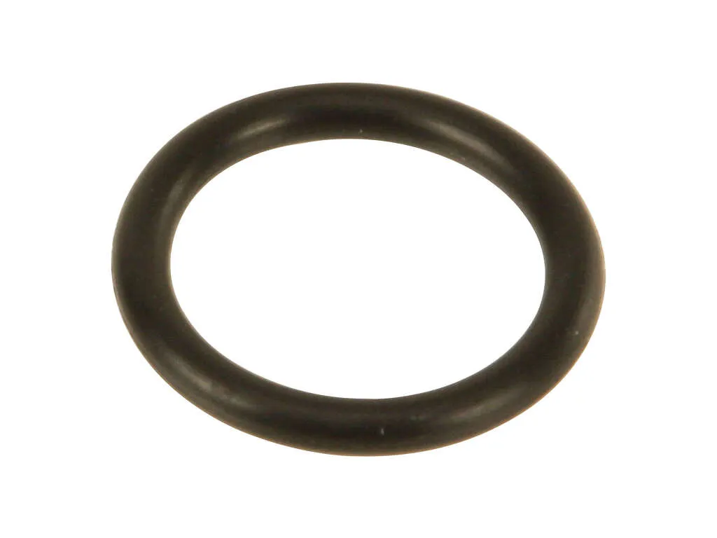 2013-2015 BMW X1 Automatic Transmission Oil Pump O-Ring (Genuine)