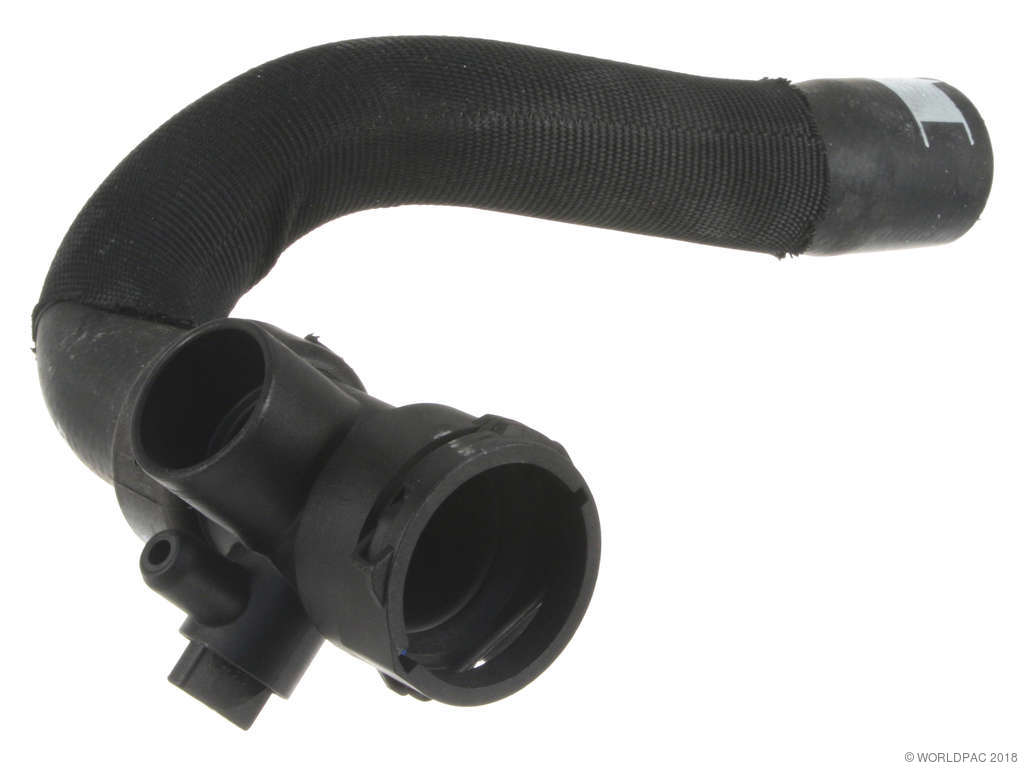 2002-2004 Audi A6 Radiator Coolant Hose - Lower (Genuine)