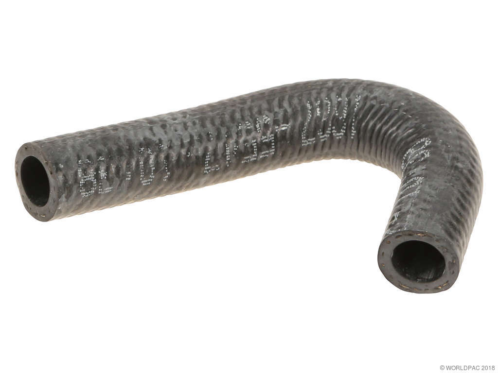 1999-2002 Nissan Quest Engine Coolant Hose (Genuine)