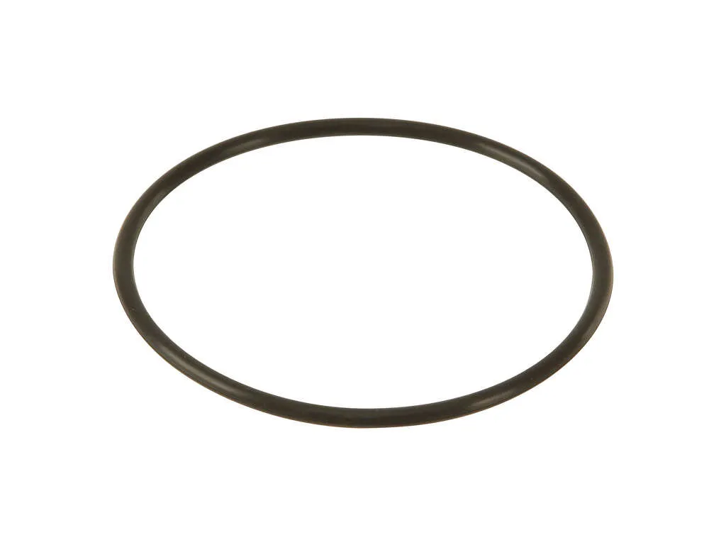 2006-2008 Volkswagen GTI Power Brake Booster Vacuum Pump Seal (Victor Reinz)