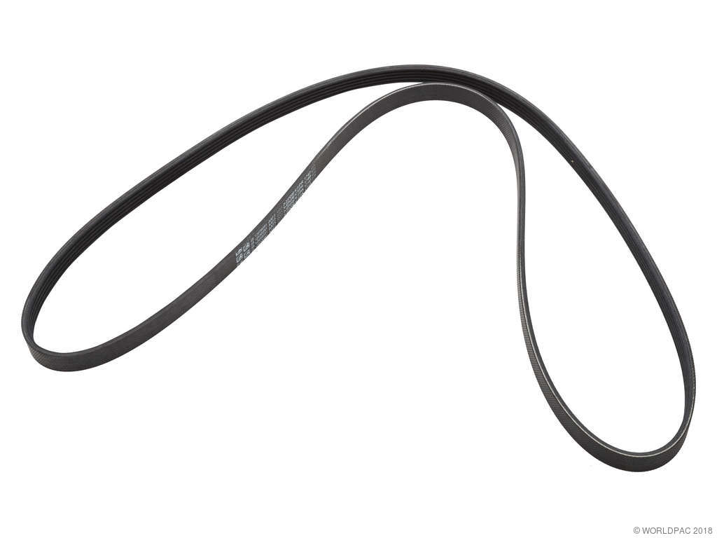 2016-2022 Chevrolet Malibu Accessory Drive Belt -  or Alternator, Water Pump and Air Conditioning (ACDelco)