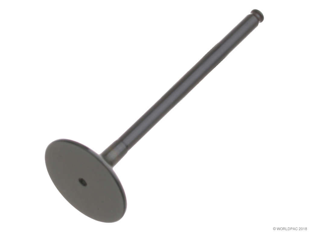 1998-2000 Mercedes-Benz C280 Engine Exhaust Valve (TRW)