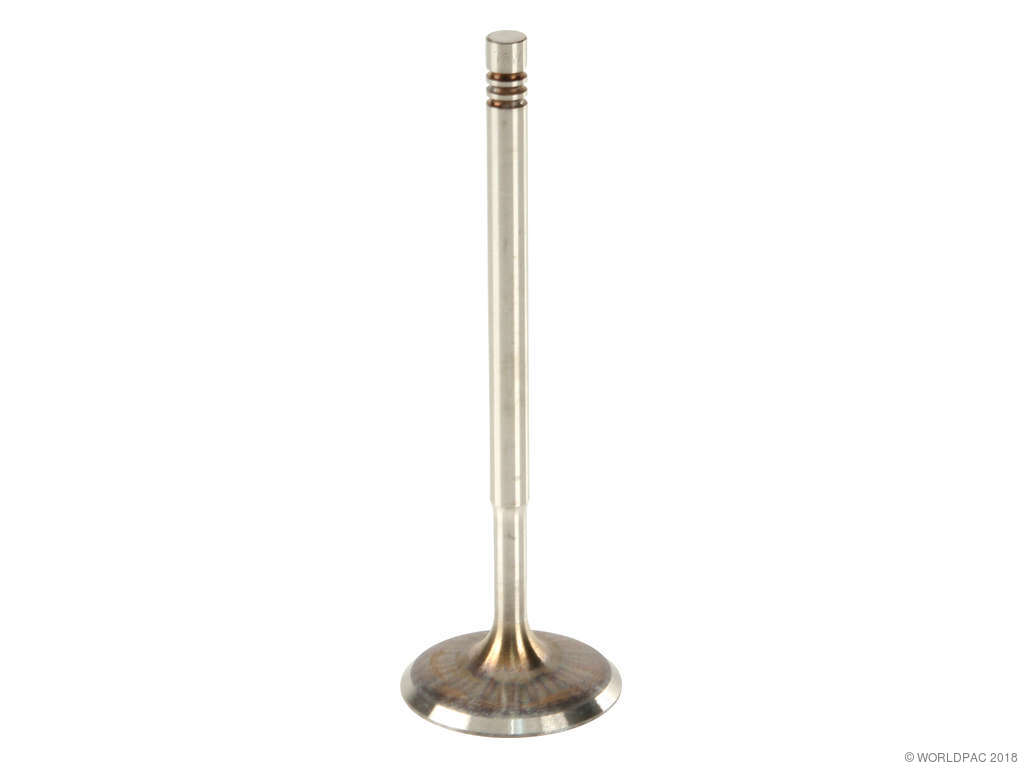 2007-2010 Audi Q7 Engine Intake Valve (TRW)