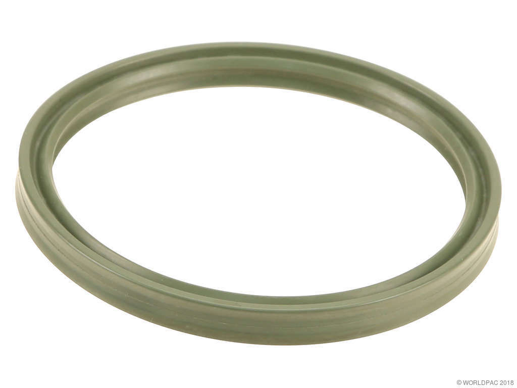 2008-2010 BMW 535i Intercooler Seal (Genuine)